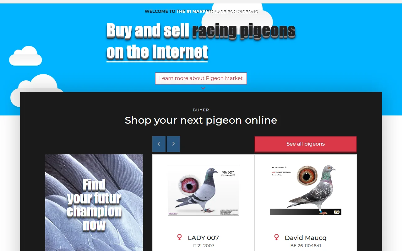 Capture de la marketplace PigeonMarket.be